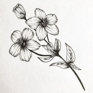 Meet your Posher, Melanie